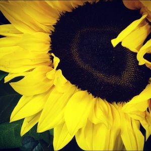 Meet your Posher, Heidi